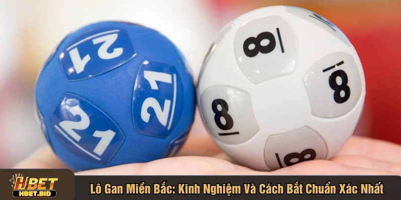 Lô gan miền Bắc