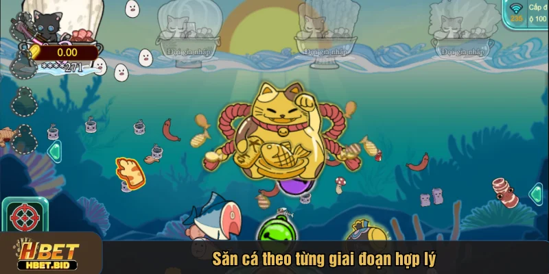 Săn cá theo từng giai đoạn hợp lý